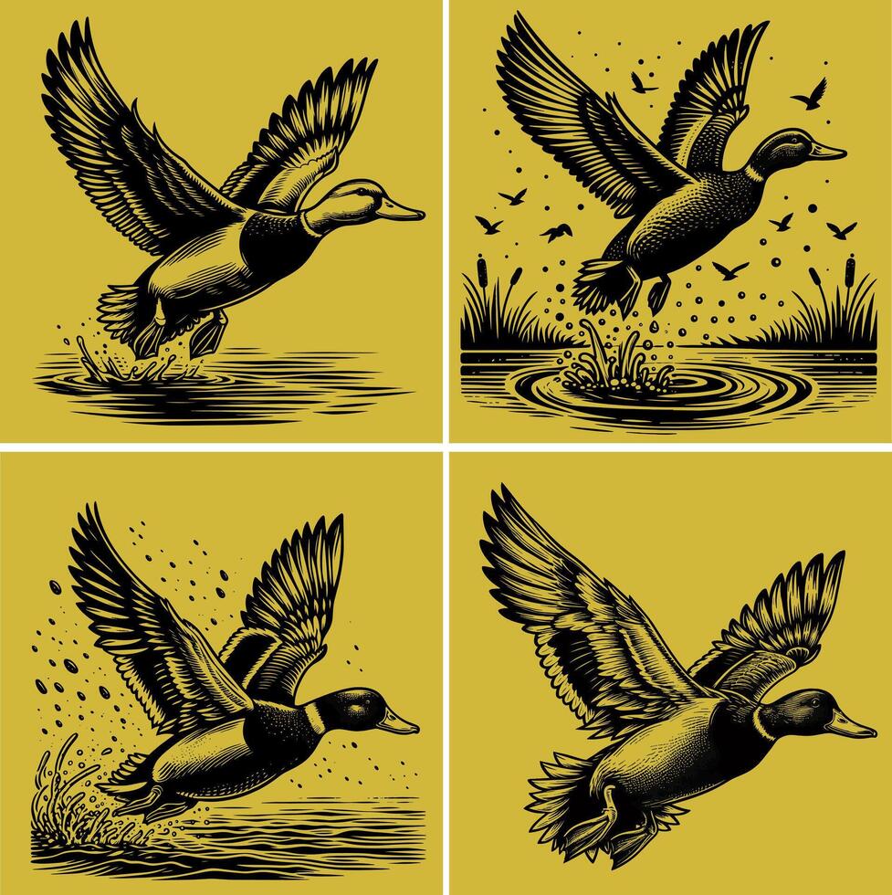 flying and landing with water droplets around it wild ducks Silhouettes set vector