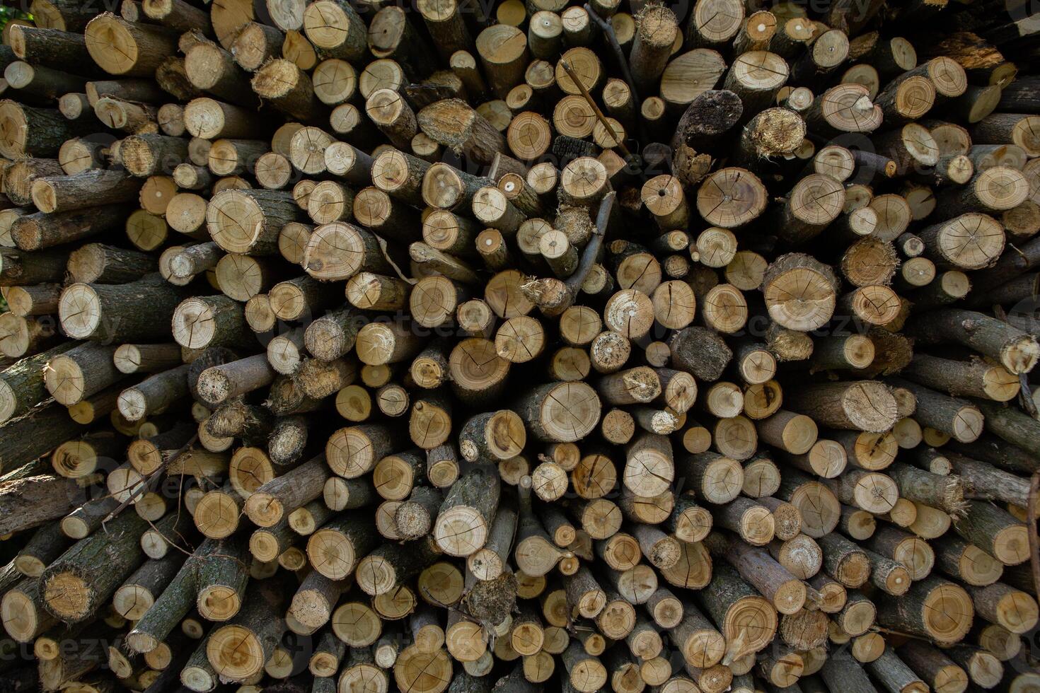 Dark wooden texture. Wood brown texture. Background old panels. Retro wooden table. Rustic background. Vintage colored surface. photo