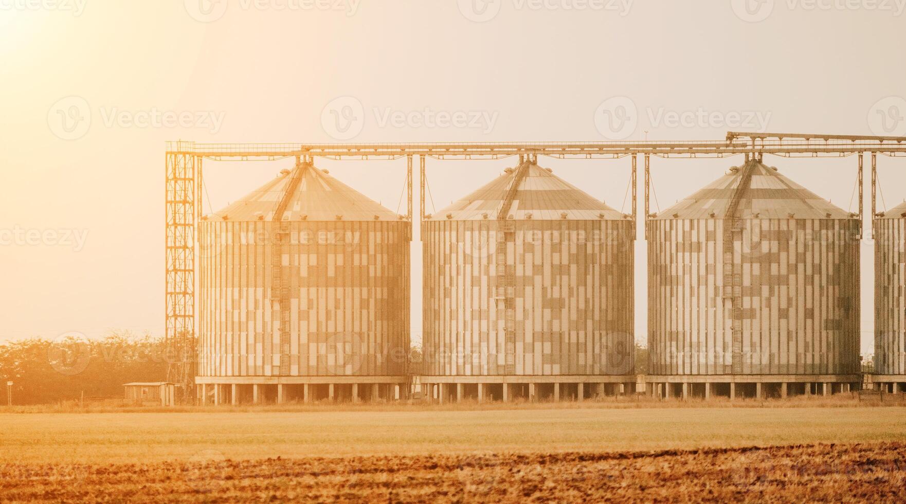 Silos and granary elevator. Modern agro-processing manufacturing plant with grain-drying complex. processing, drying, cleaning, and storing agricultural products in wheat, rye or corn fields photo