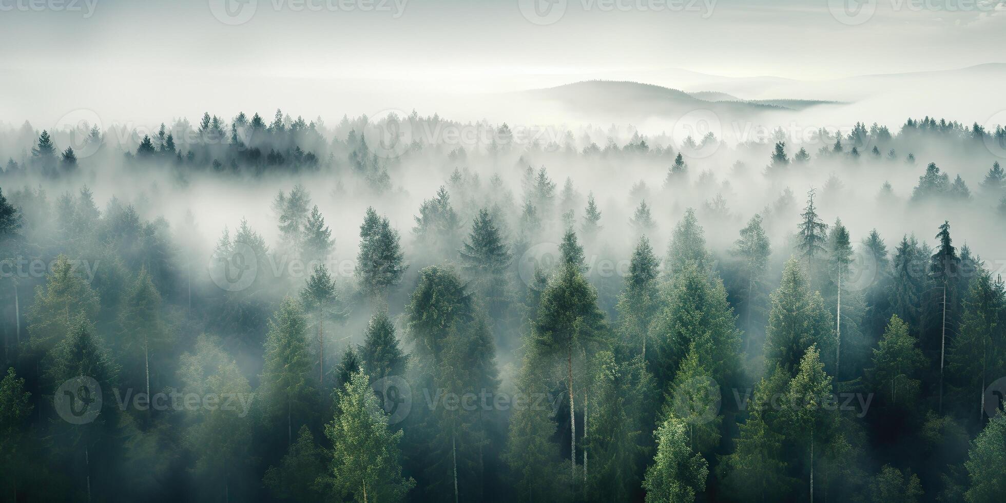 Air aerial nodric forest evening fog misty weather scene view. Adventure explore trip travel vibe inspiration photo