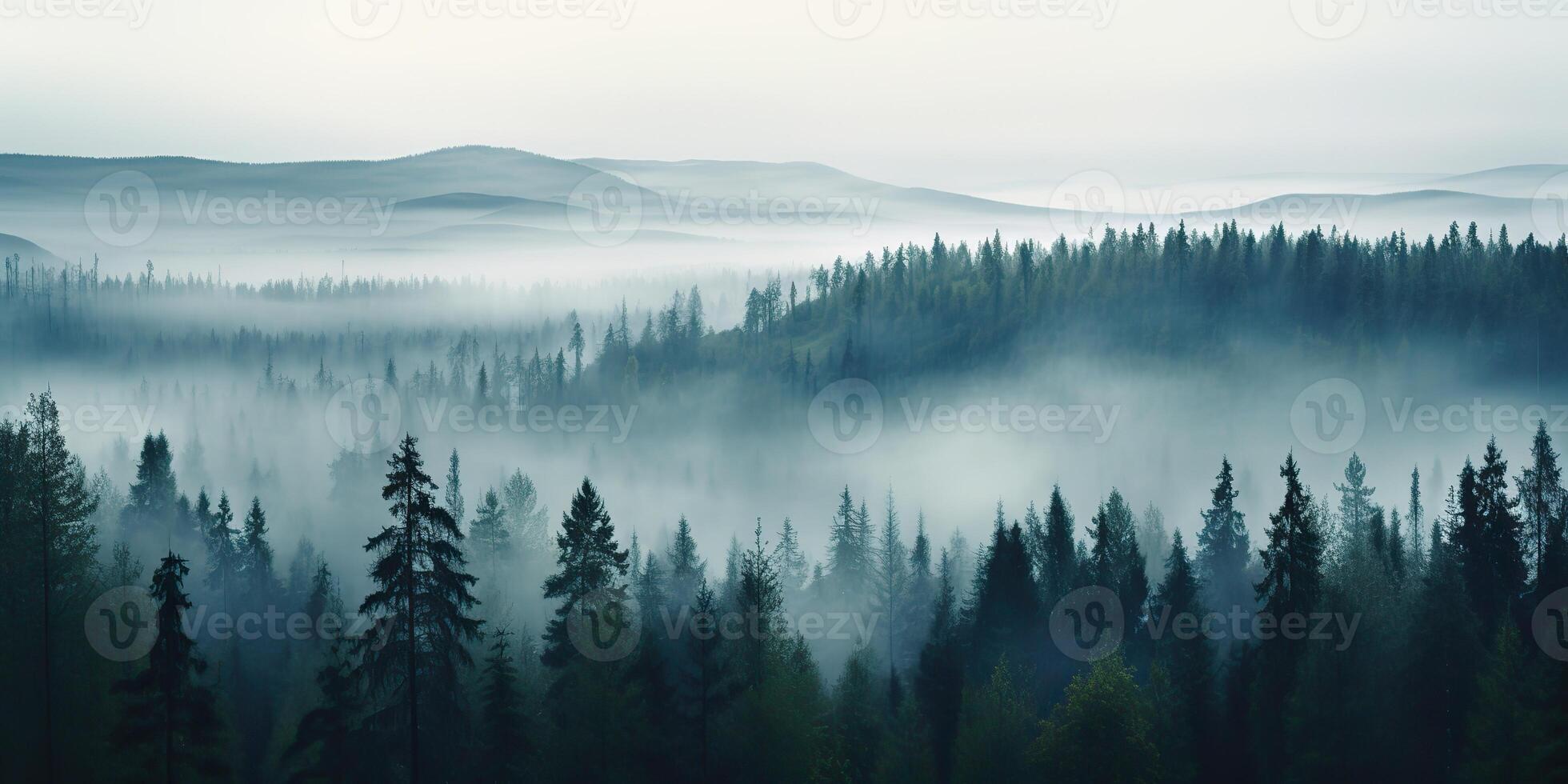 Air aerial nodric forest evening fog misty weather scene view. Adventure explore trip travel vibe inspiration photo