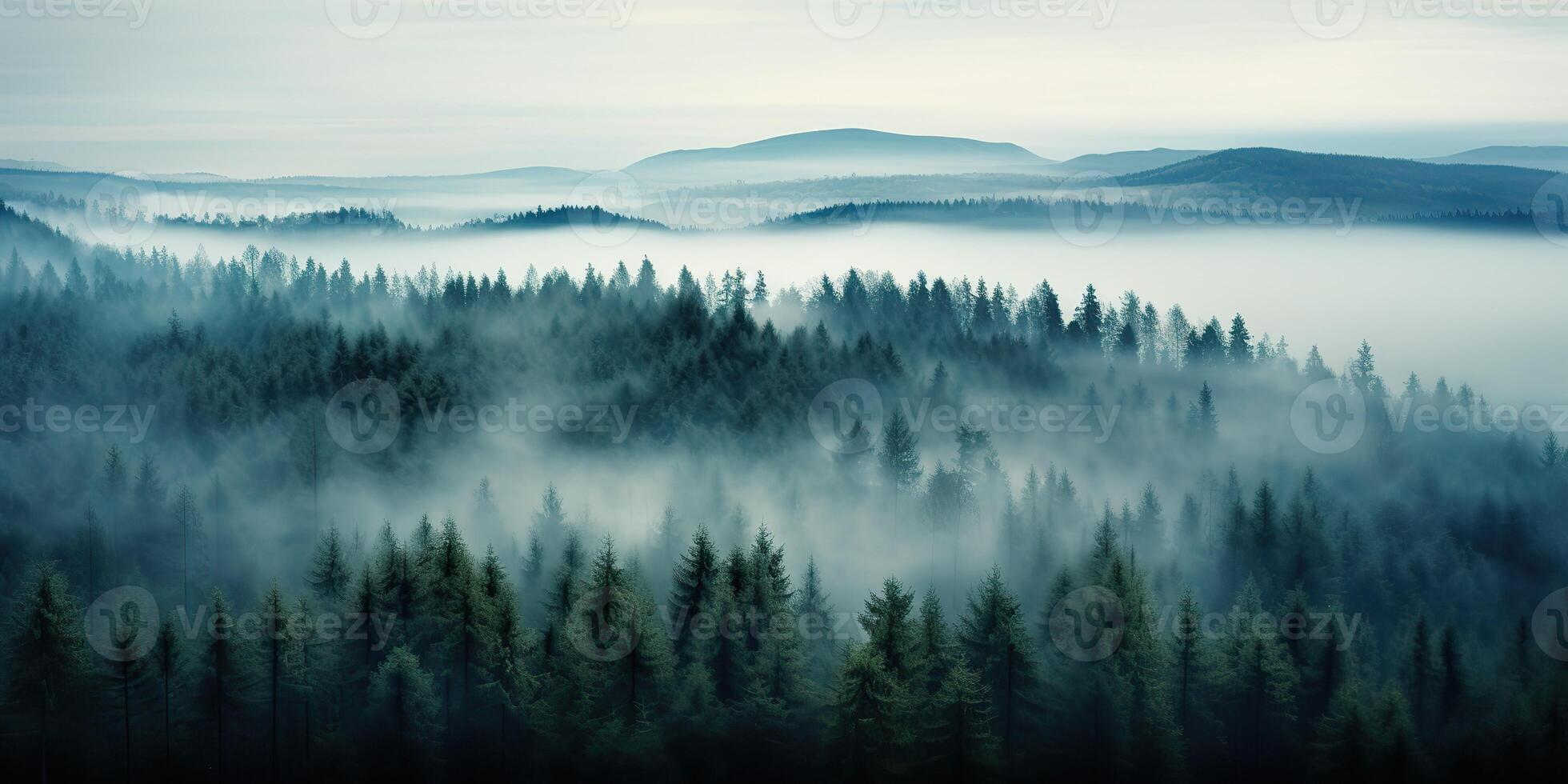 Air aerial nodric forest evening fog misty weather scene view. Adventure explore trip travel vibe inspiration photo