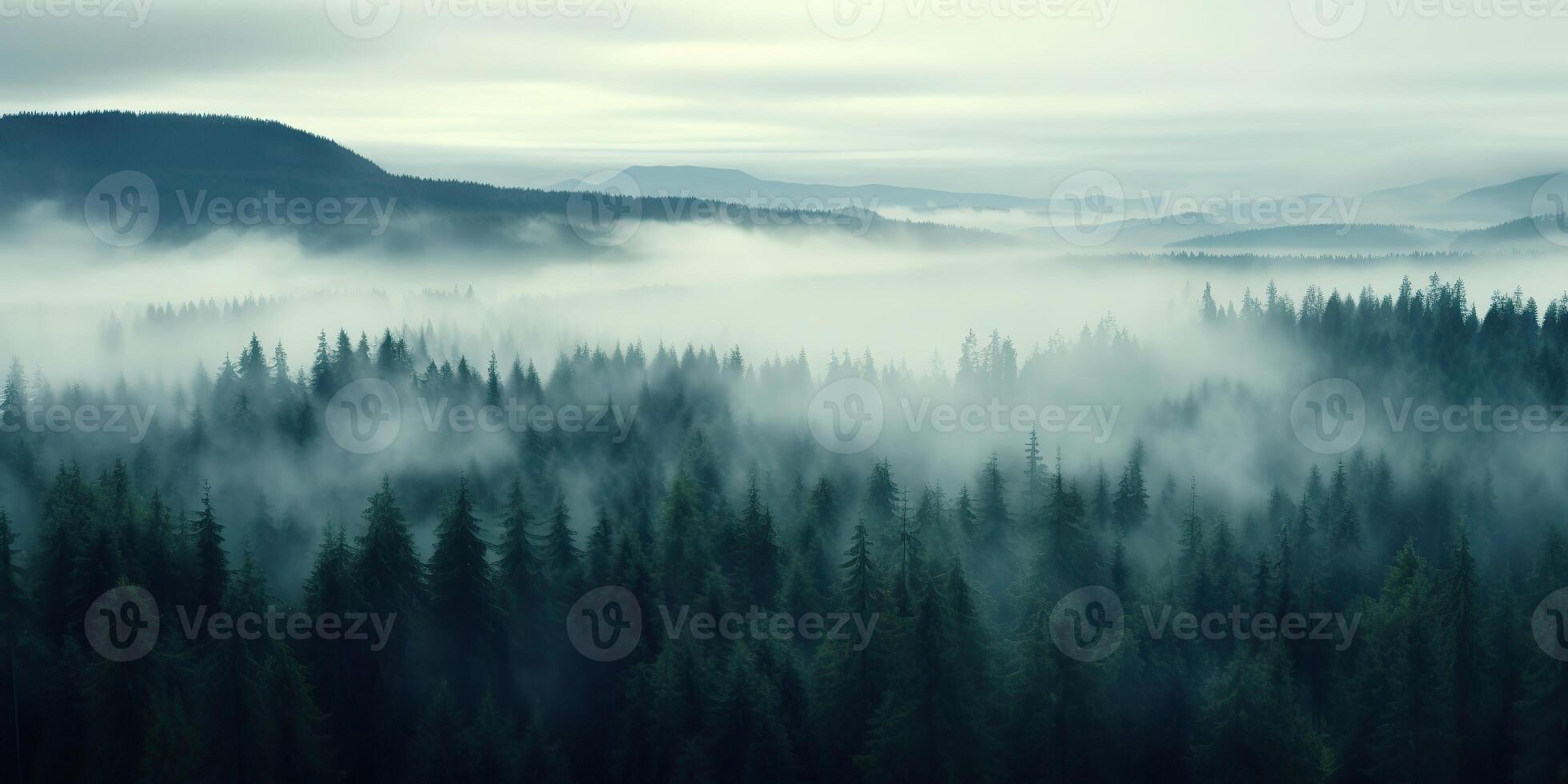 Air aerial nodric forest evening fog misty weather scene view. Adventure explore trip travel vibe inspiration photo