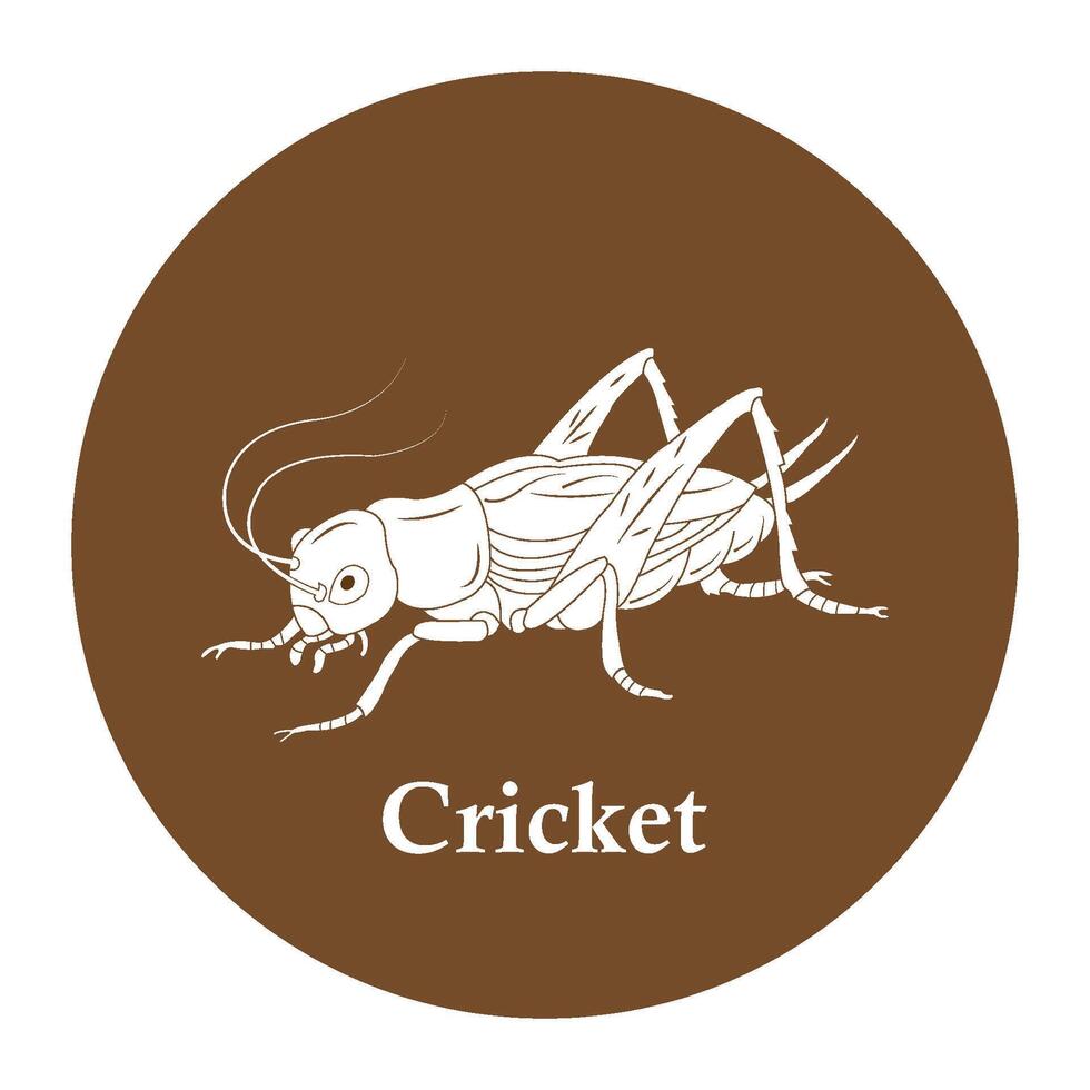 Cricket icon design vector