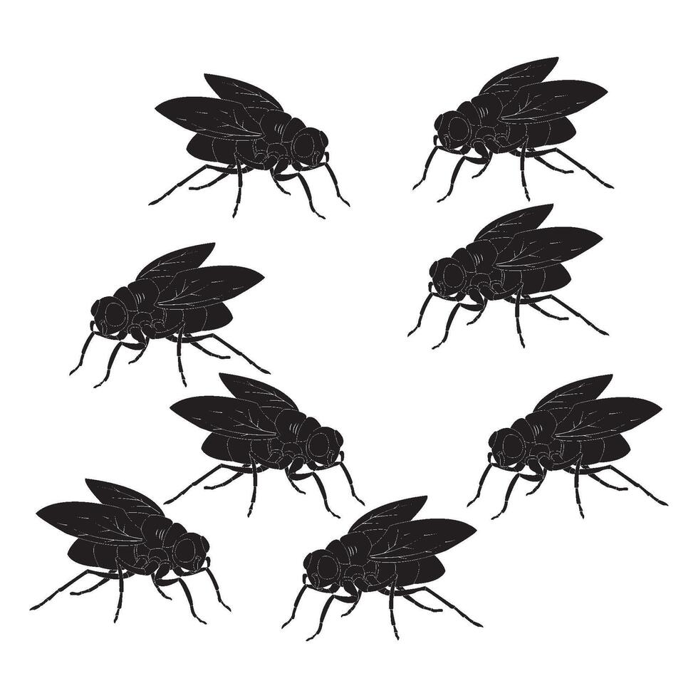 fly icon design vector