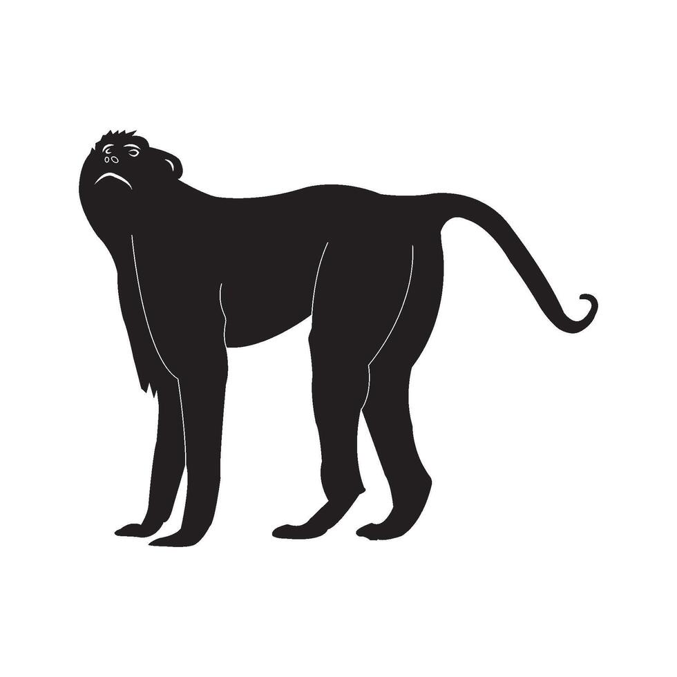 Monkey icon design vector