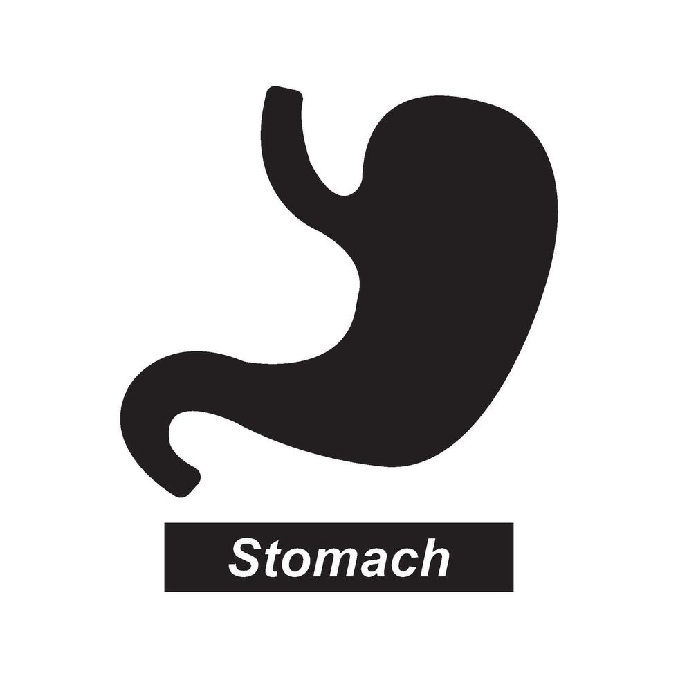 Stomach icon design vector