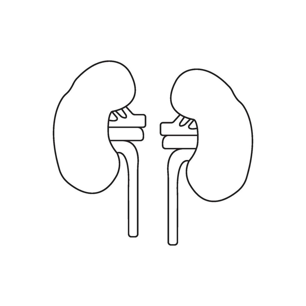 Kidney icon design vector