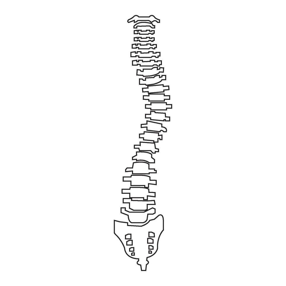 Spine icon design vector