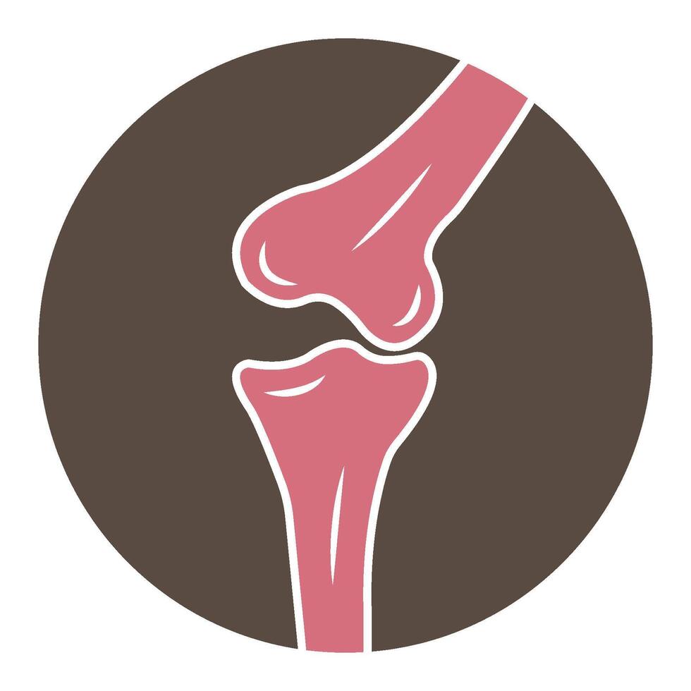 Bone joints icon vector