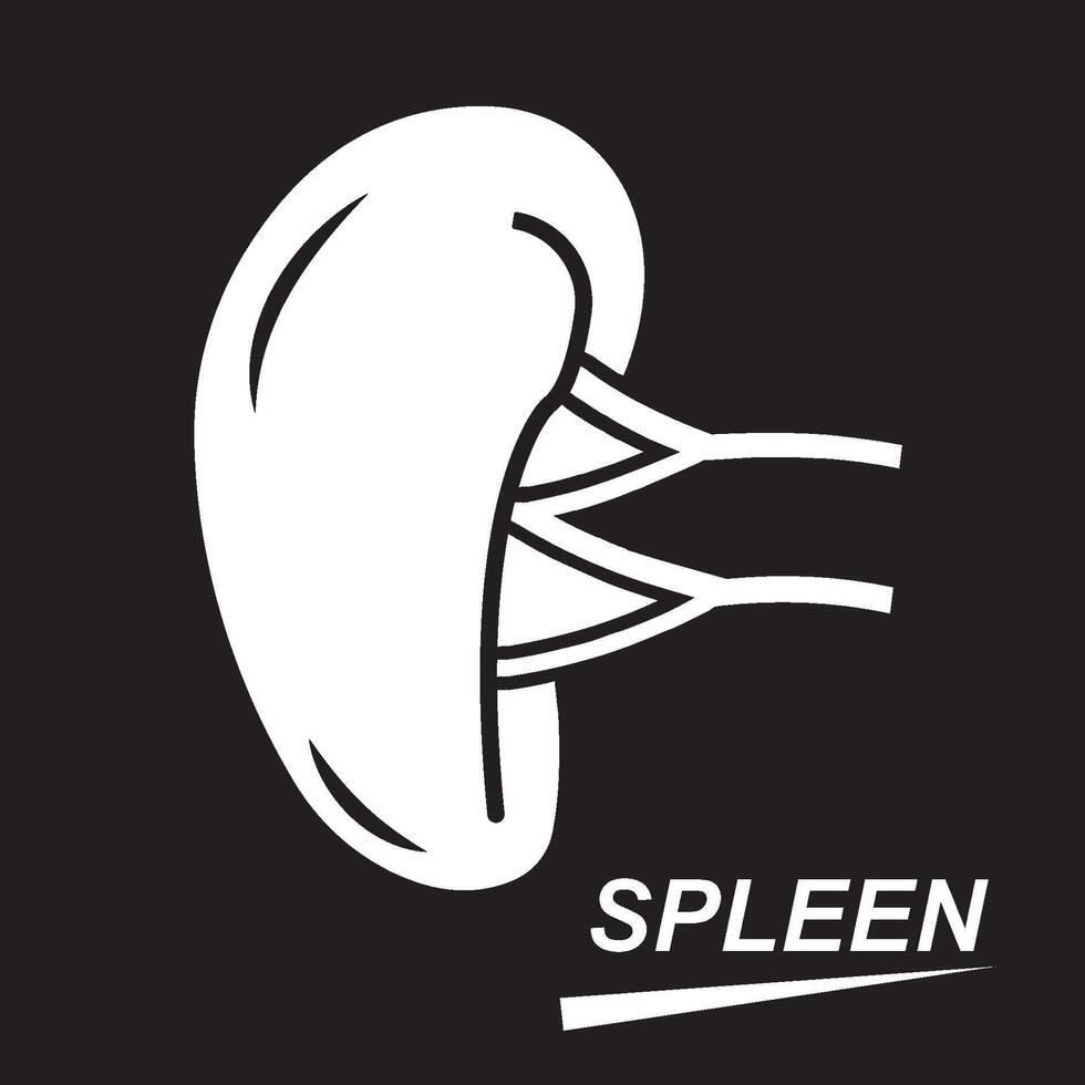 Spleen icon design vector