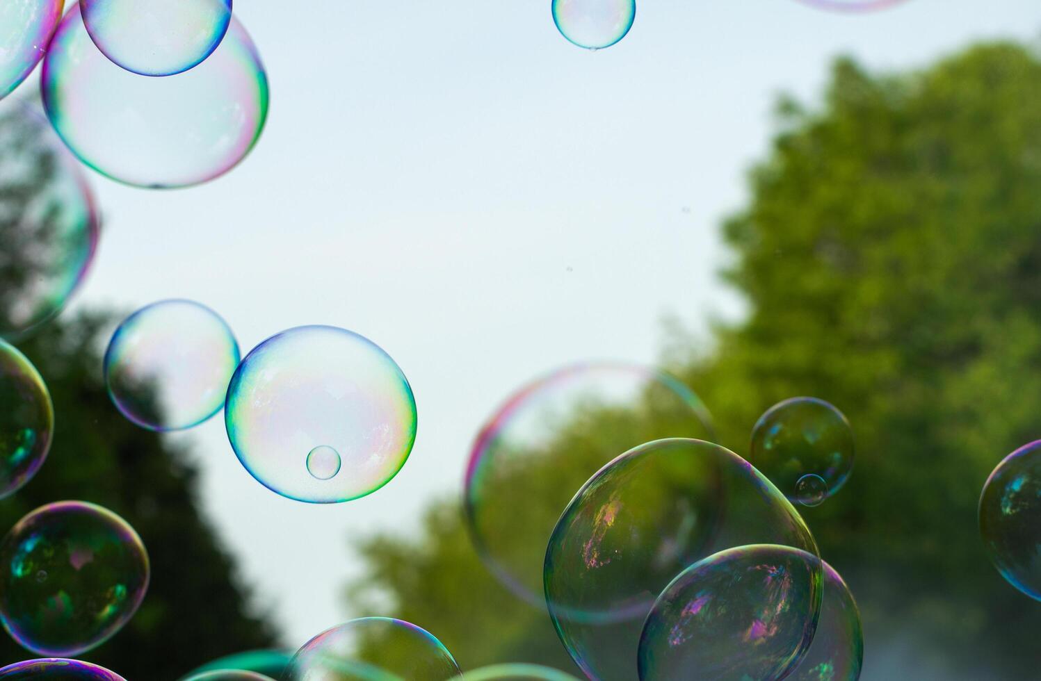 soap bubbles close-up on a background of sun and greenery, abstract background, positive mood, holiday, carelessness photo