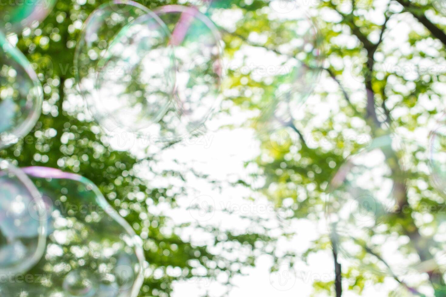 soap bubbles close-up on a background of sun and greenery, abstract background, positive mood, holiday, carelessness photo