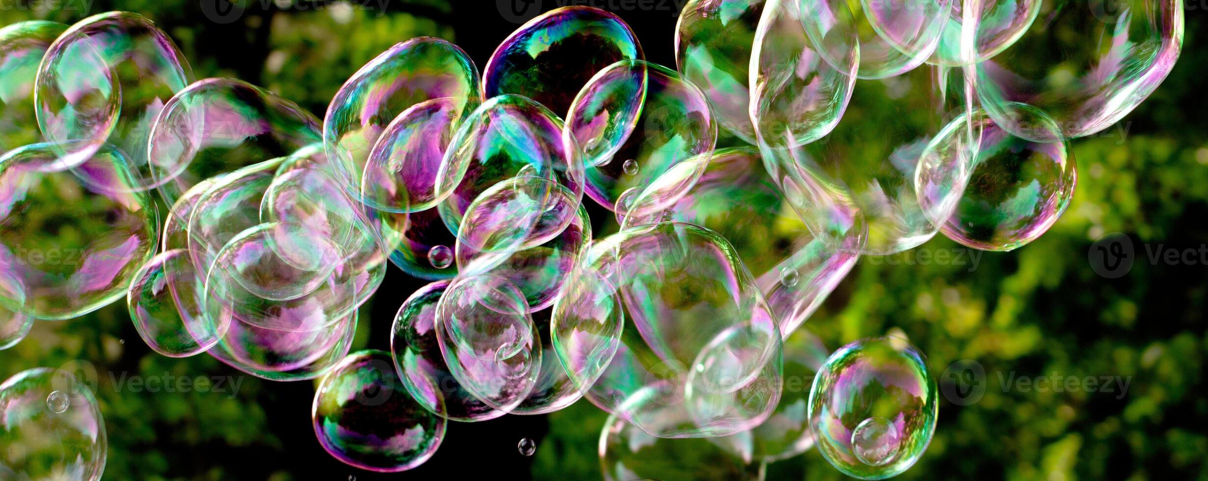 soap bubbles close-up on a background of sun and greenery, abstract background, positive mood, holiday, carelessness photo