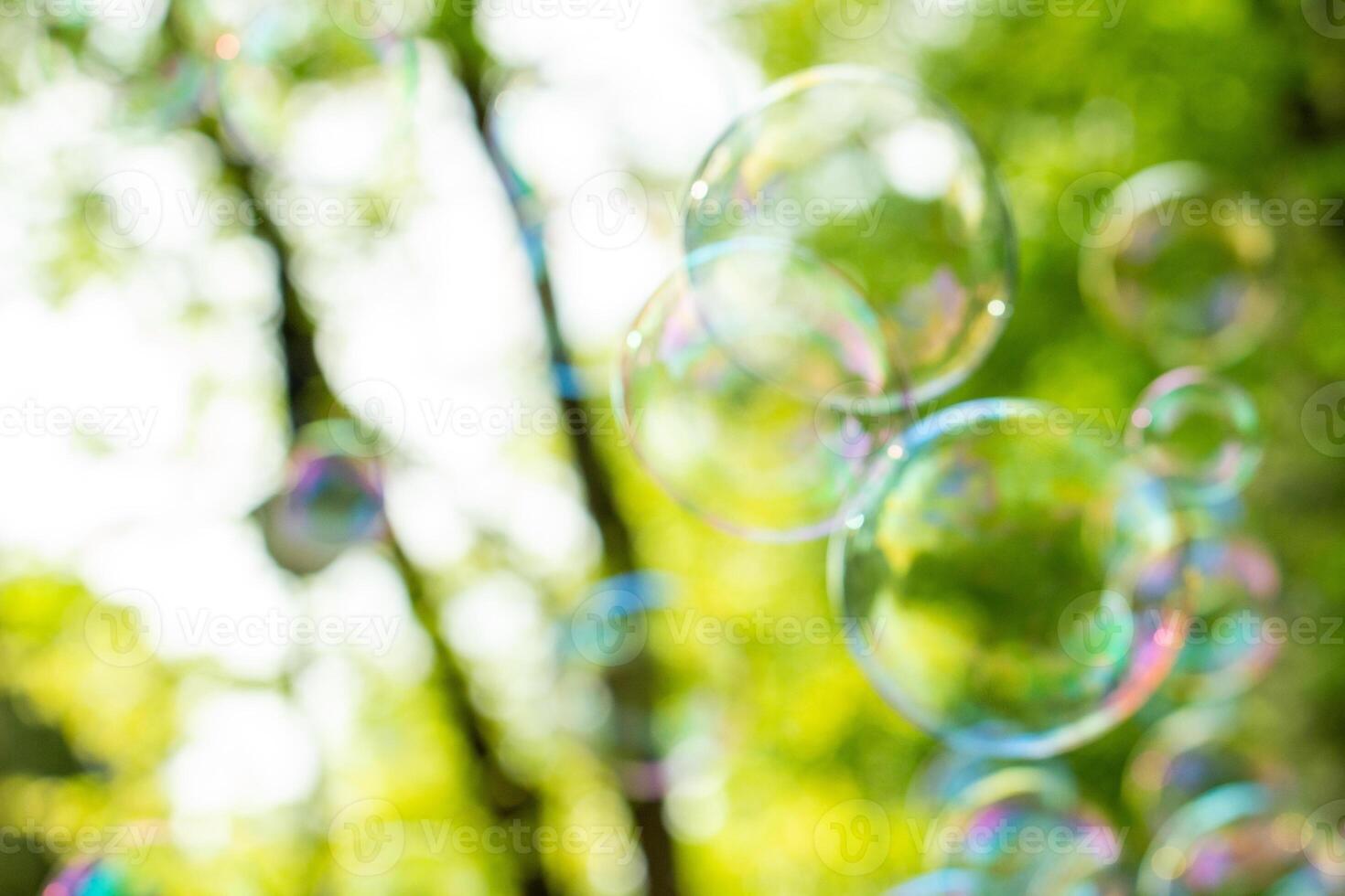 soap bubbles close-up on a background of sun and greenery, abstract background, positive mood, holiday, carelessness photo