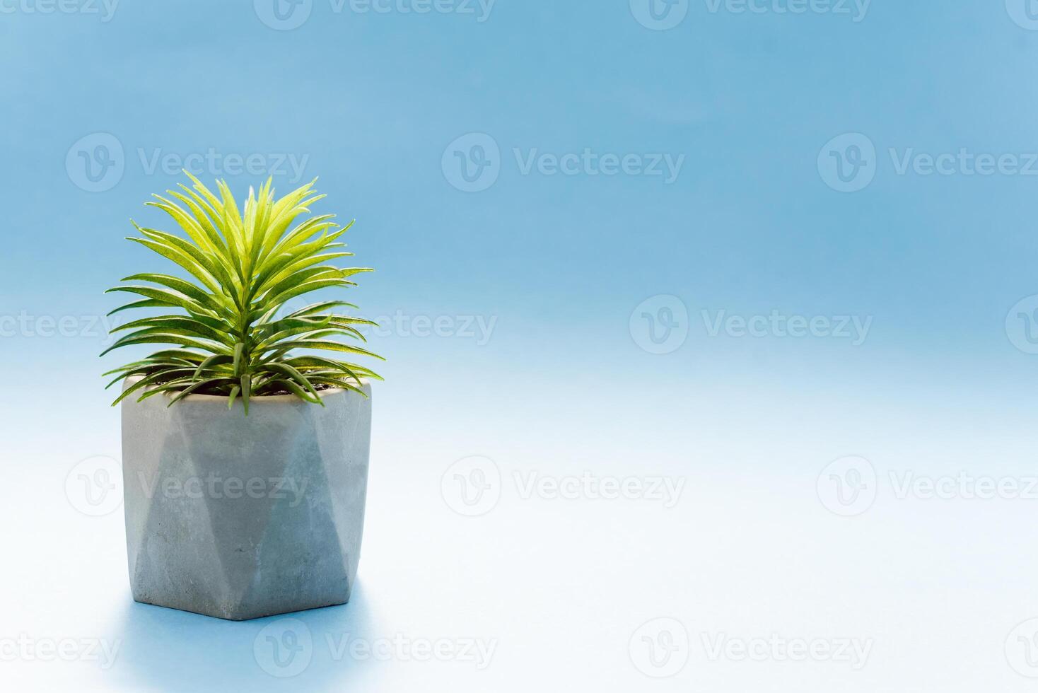 Green sprouts in brown clay flowerpot with soil. Blue background, copy space photo