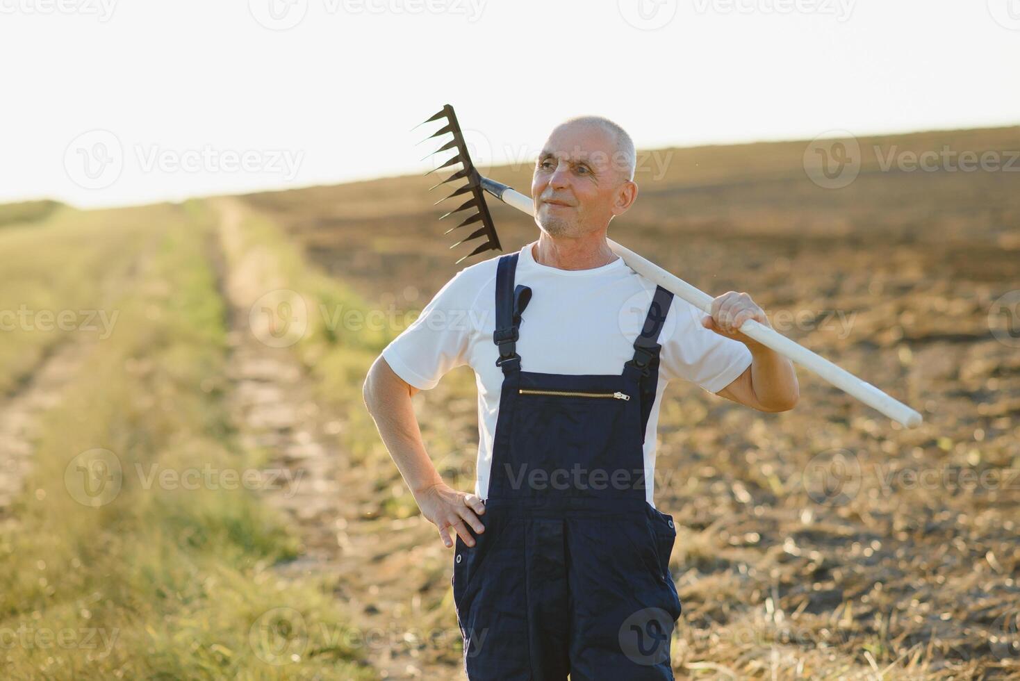 Senior farmer in a field. Agriculture concept photo