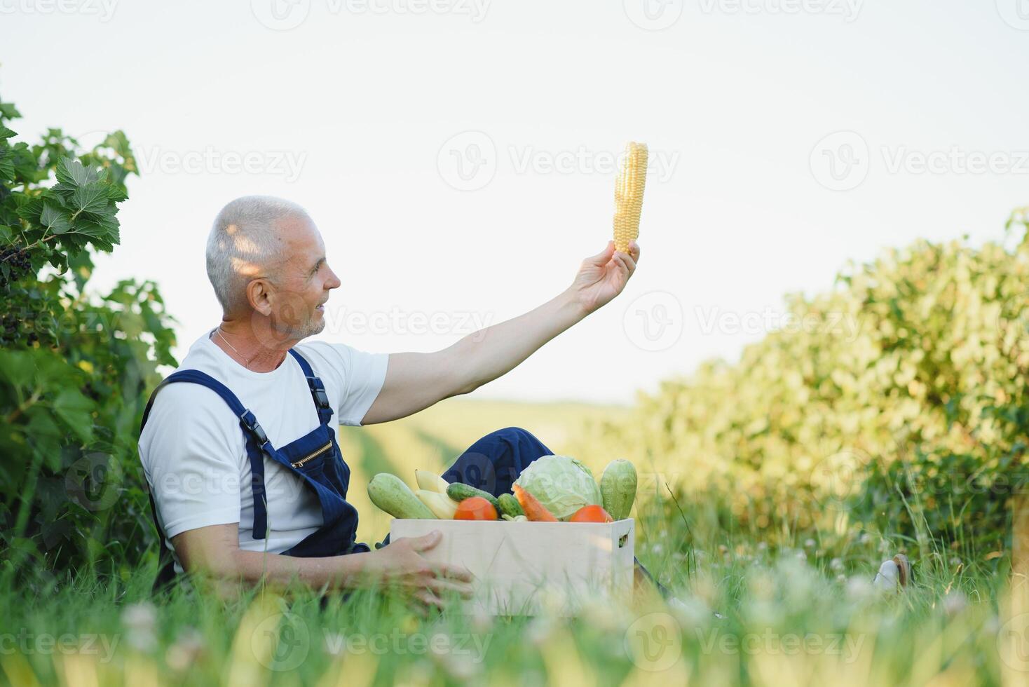 Man with wooden box of vegetables in field. Farming photo