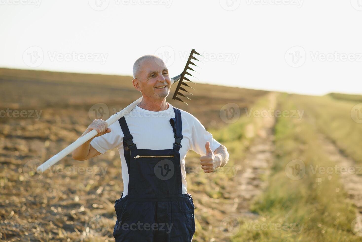 a farmer works with a rake photo