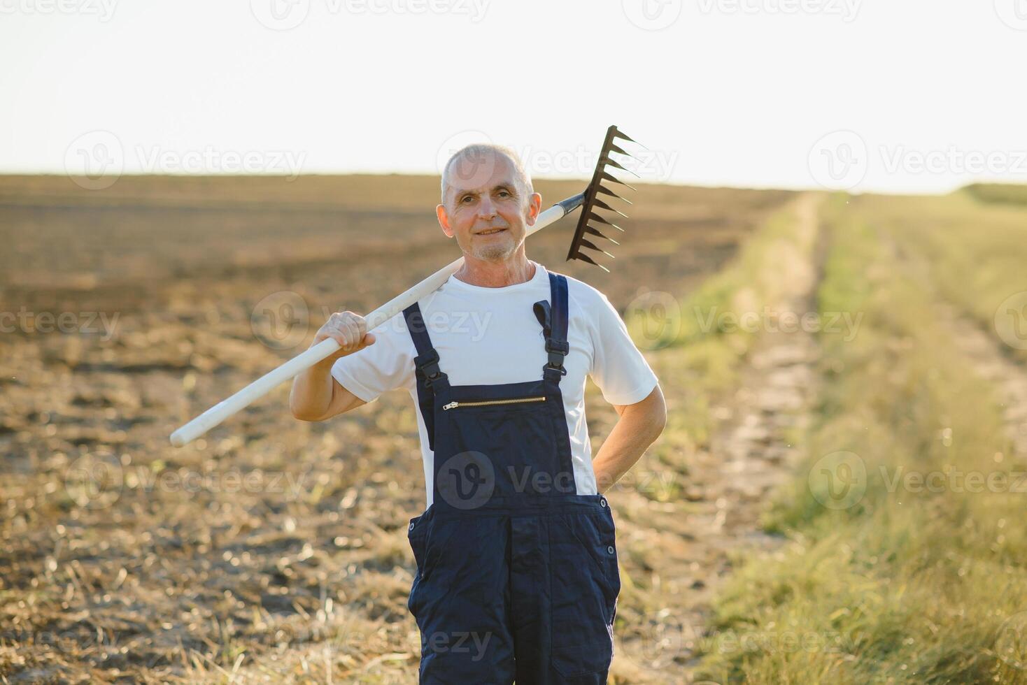 Senior farmer in a field. Agriculture concept photo