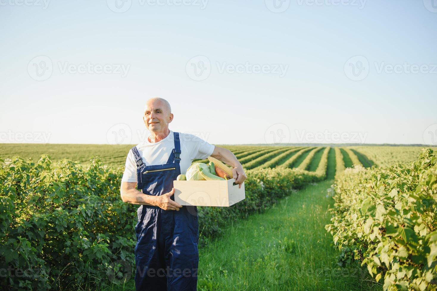 farmer carrying box of picked vegetables photo