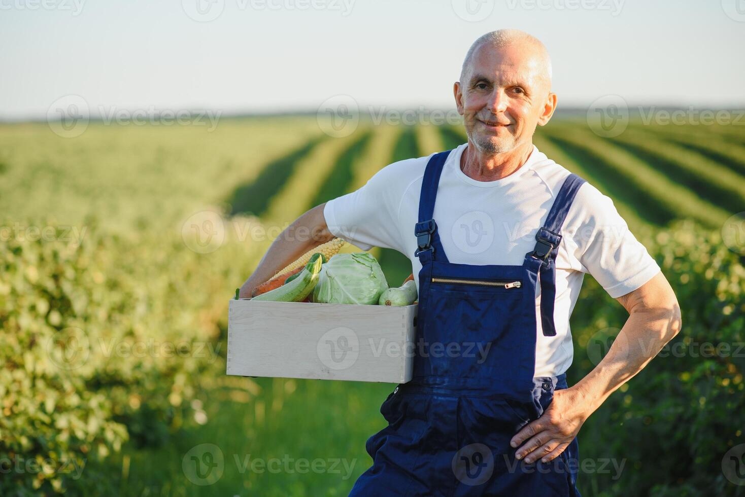 farmer carrying box of picked vegetables photo