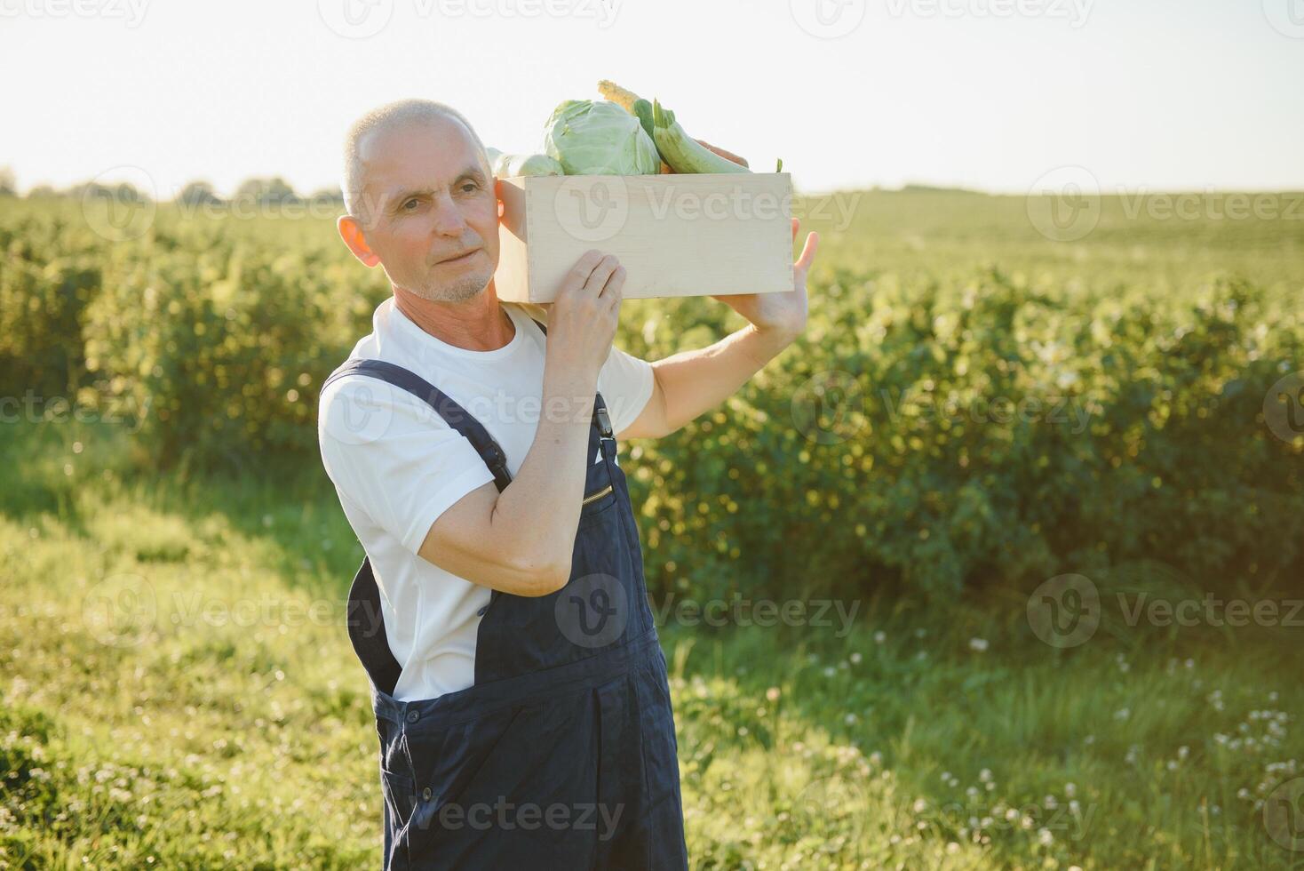 Man with wooden box of vegetables in field. Farming photo