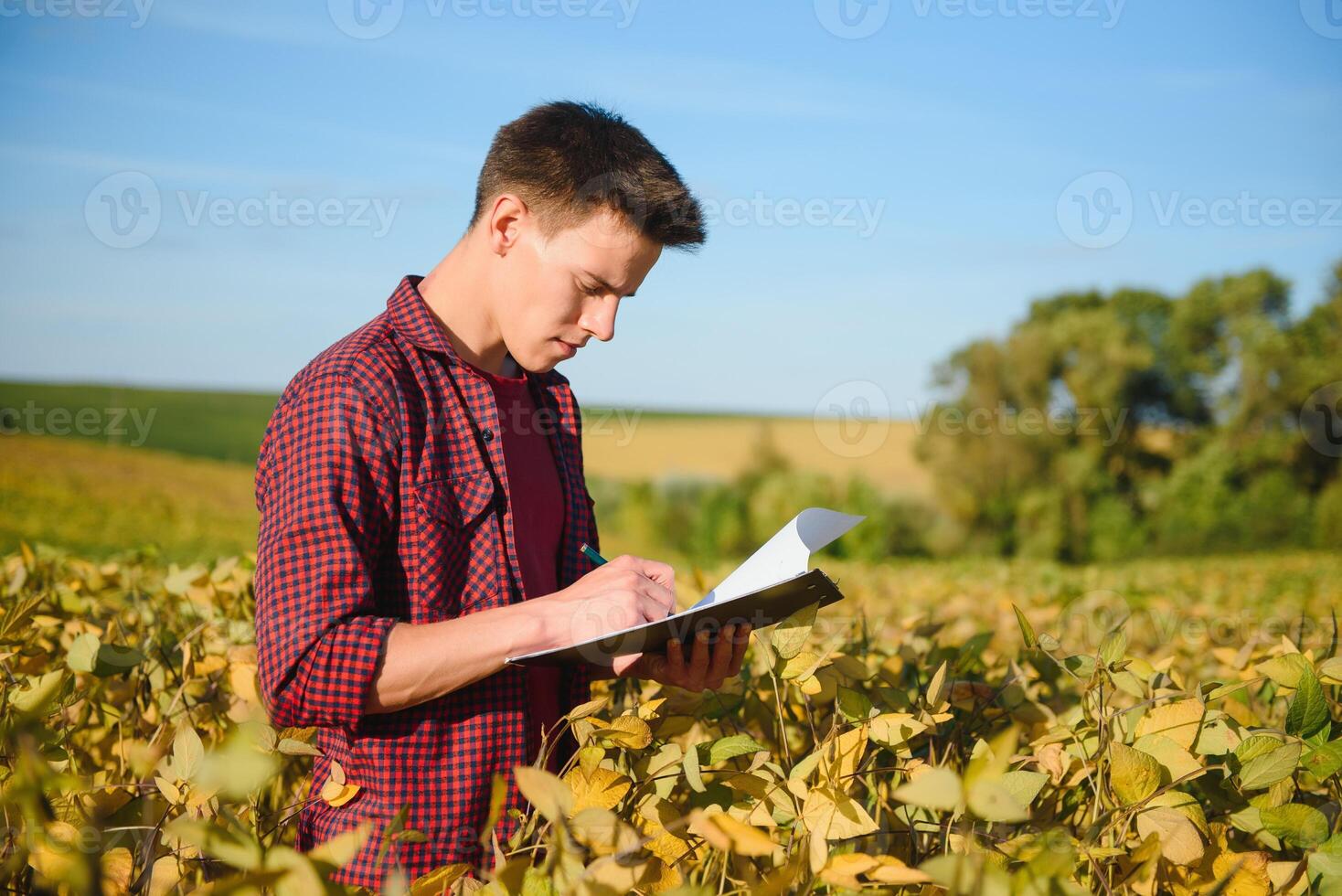 Farmer in soybean field plantation photo