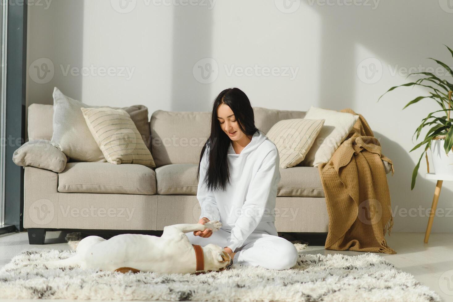 Beautiful young girl playing with a nice cute dog. photo