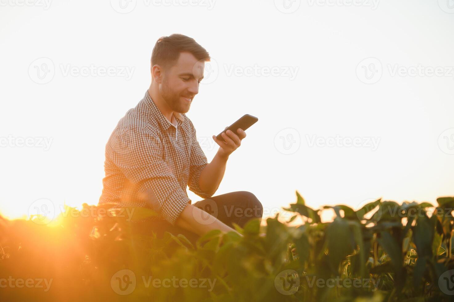 A farmer inspects a green soybean field. The concept of the harvest photo