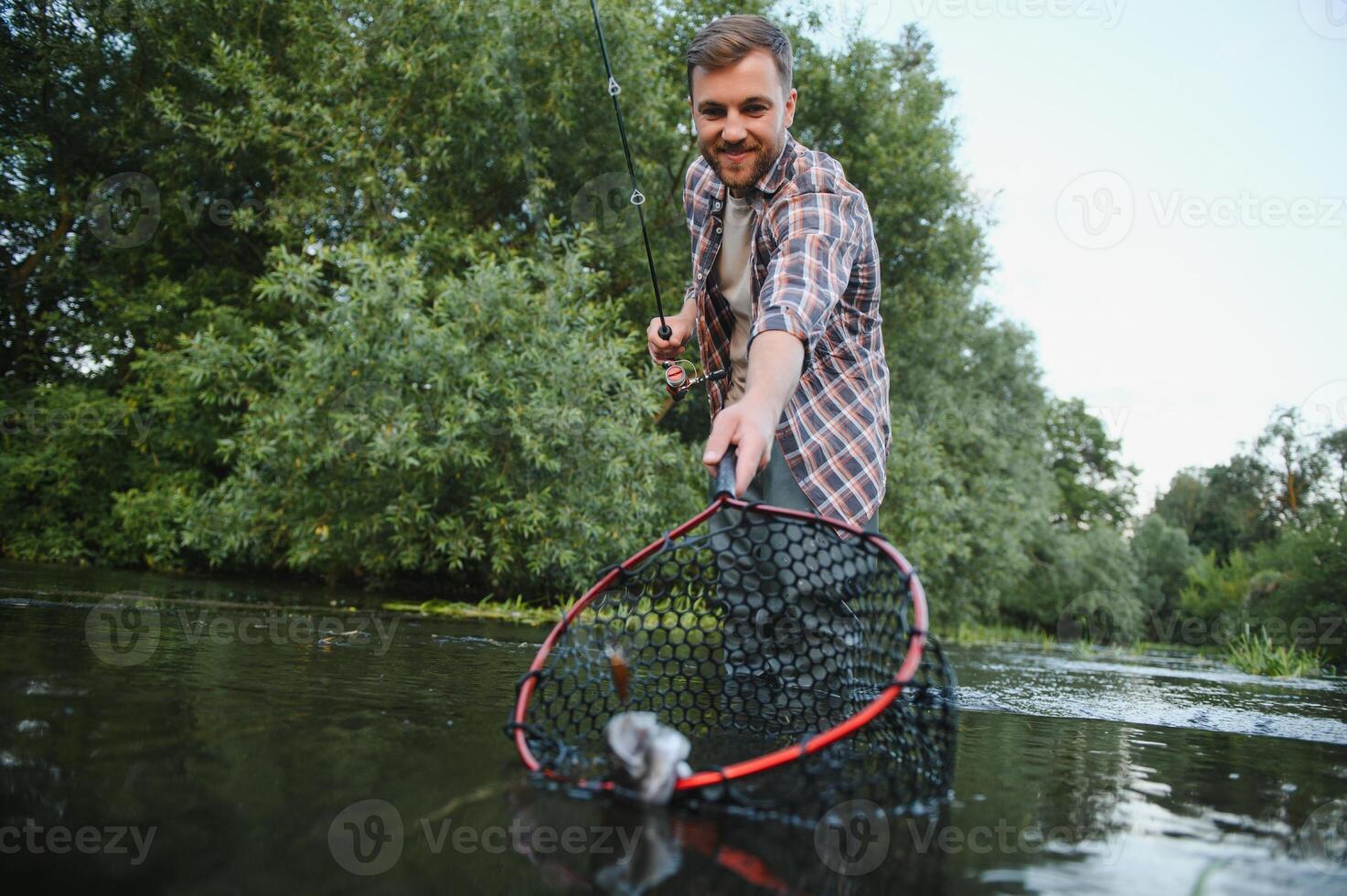 Fisherman picking up big rainbow trout from his fishing net photo