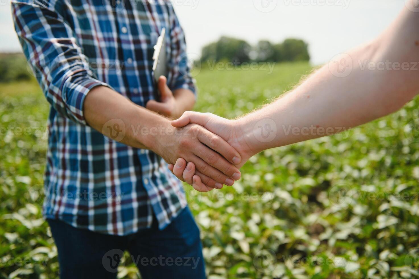 Two farmers shaking hands in soybean field in early summer photo