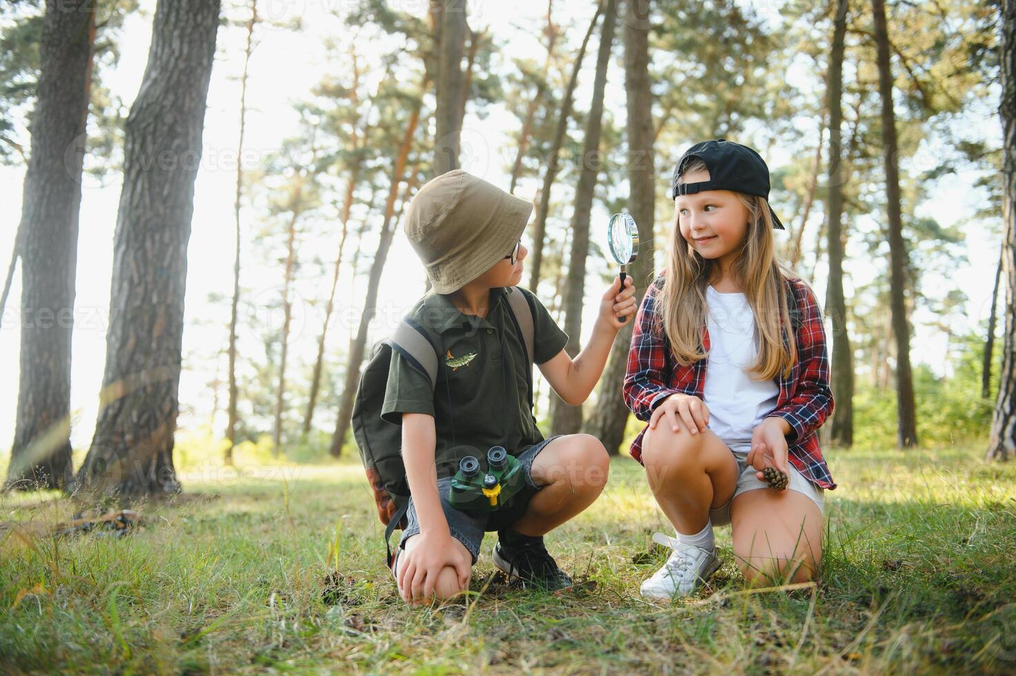 kids scouts in the forest. photo