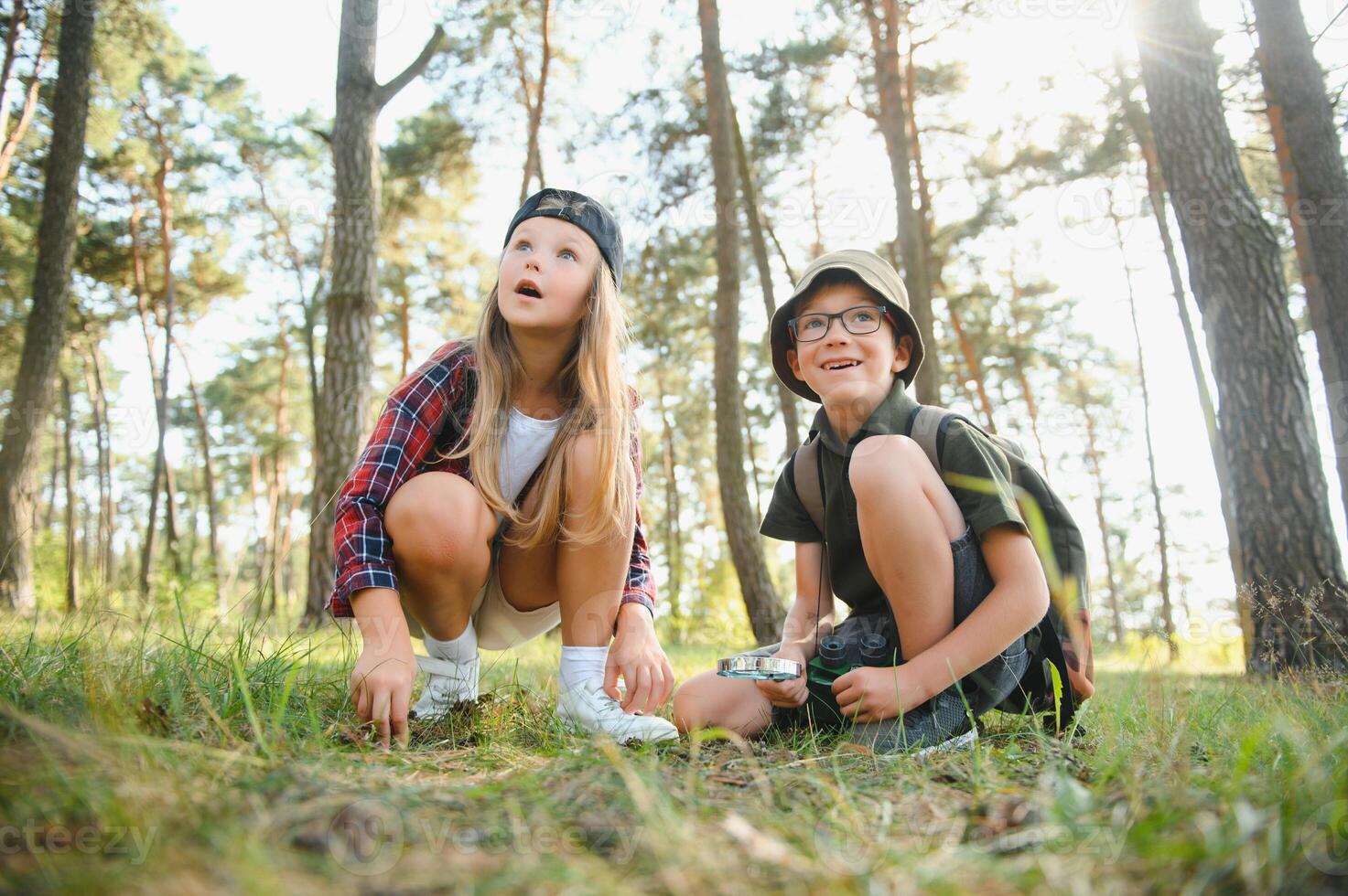 Group of curious happy school kids in casual clothes with backpacks exploring nature and forest together on sunny autumn day. photo