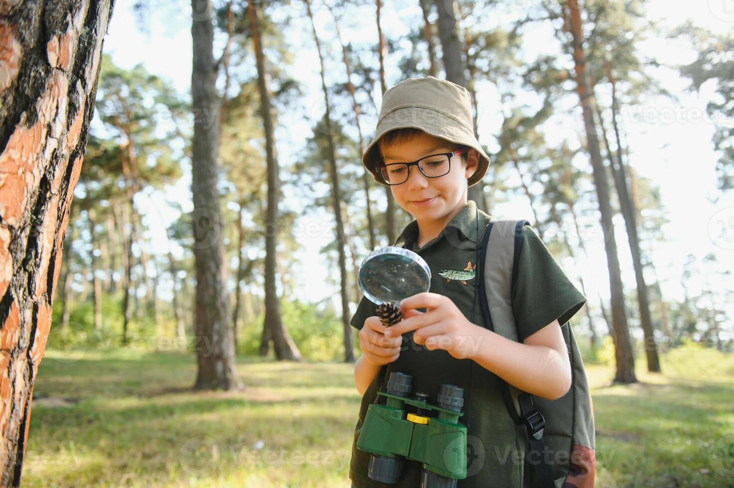 Boy biologist or entomologist studies nature. Scout in the forest. A teenager studies insects. Biology. Geology. Expedition in the forest photo