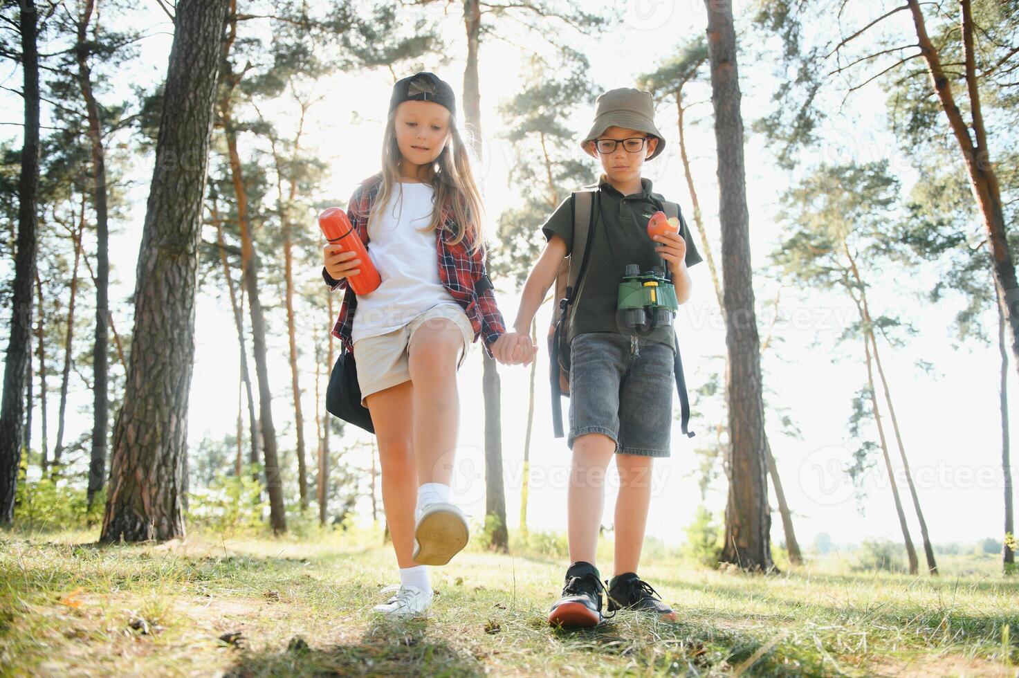 Happy excited school children with backpacks in casual clothes enjoying walk in forest on sunny autumn day, two active kids boy and girl running and playing together during camping trip in nature. photo