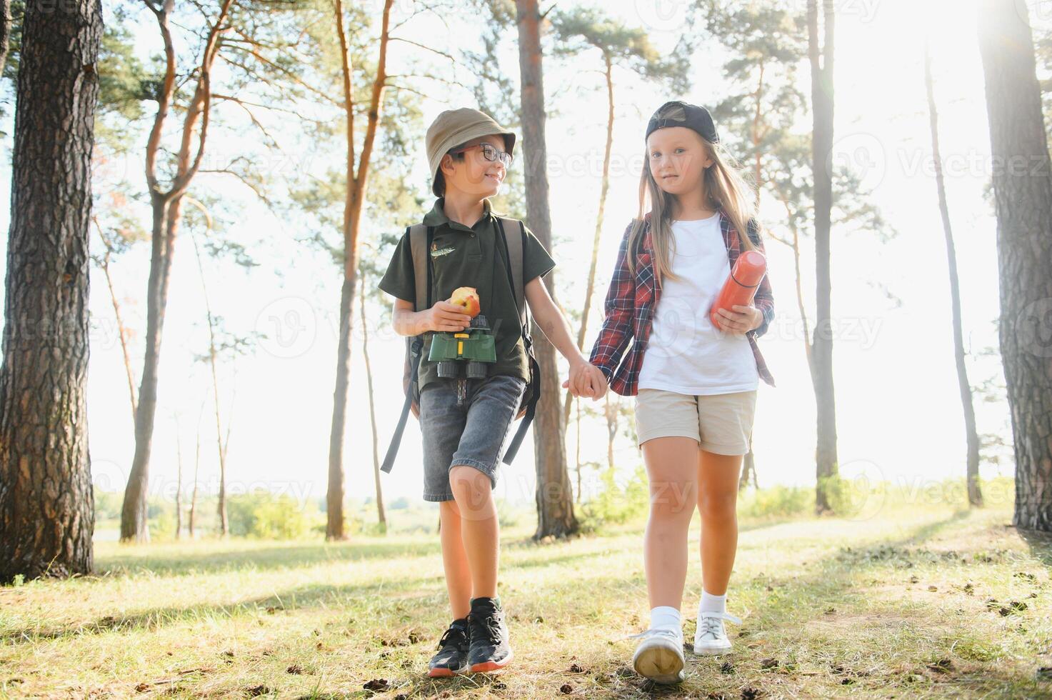 Little boy and girl go hiking on a forest road photo