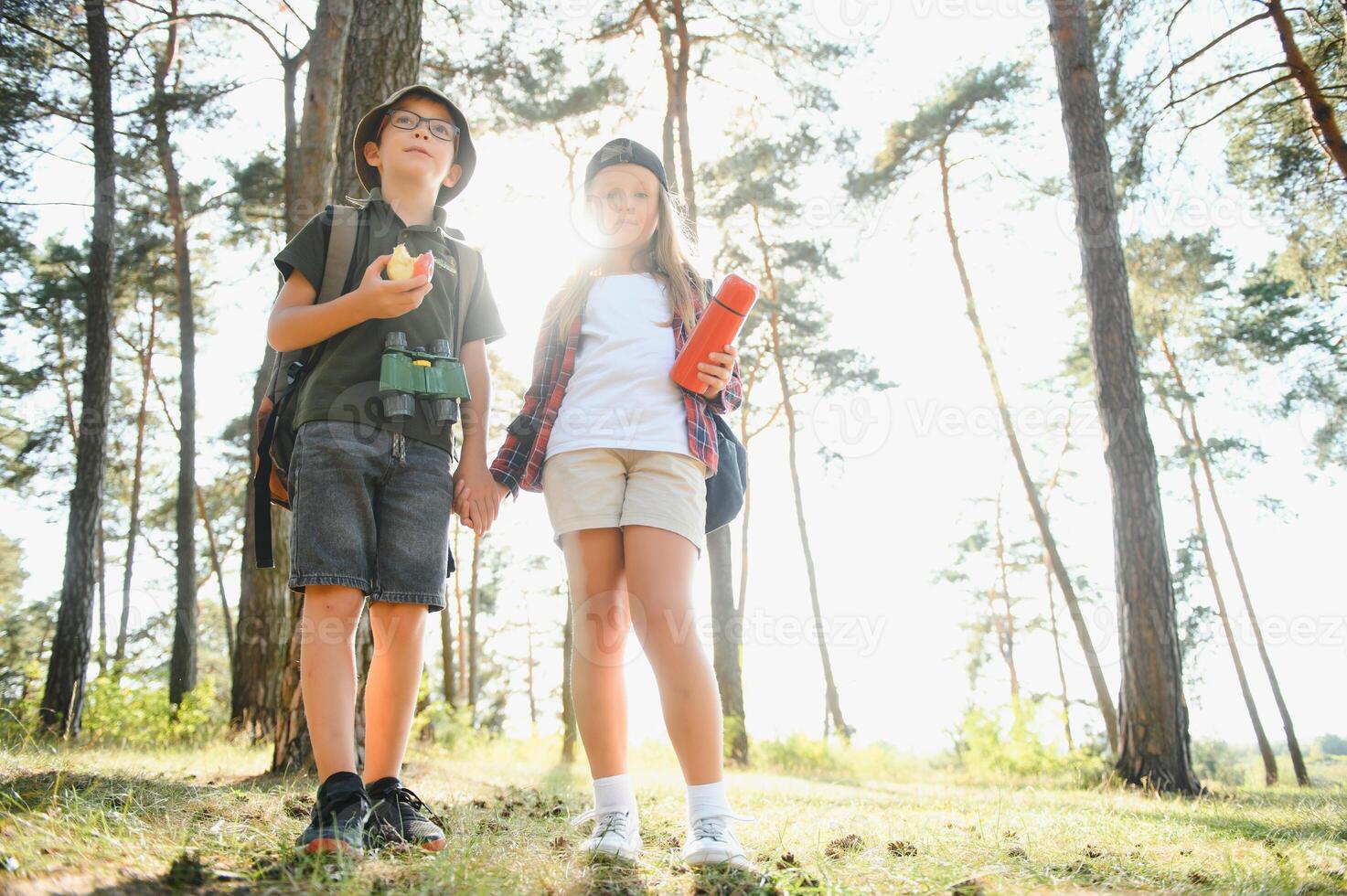 Two happy children having fun during forest hike on beautiful day in pine forest. Cute boy scout with binoculars during hiking in summer forest. Concepts of adventure, scouting and hiking tourism photo