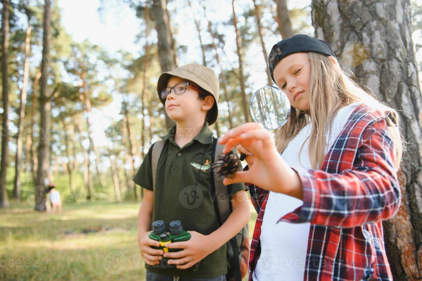 Two happy children having fun during forest hike on beautiful day in pine forest. Cute boy scout with binoculars during hiking in summer forest. Concepts of adventure, scouting and hiking tourism photo