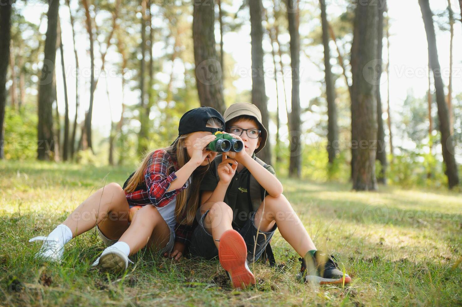 kids in green forest playing,concept of kids vacations and travel photo