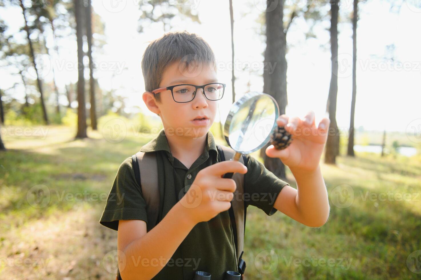 Boy biologist or entomologist studies nature. Scout in the forest. A teenager studies insects. Biology. Geology. Expedition in the forest photo