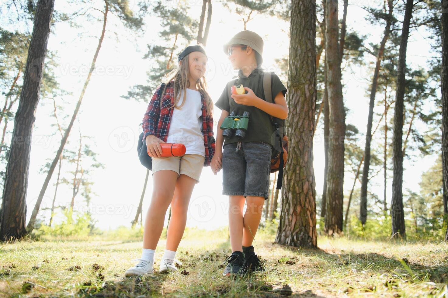 Happy excited school children with backpacks in casual clothes enjoying walk in forest on sunny autumn day, two active kids boy and girl running and playing together during camping trip in nature. photo