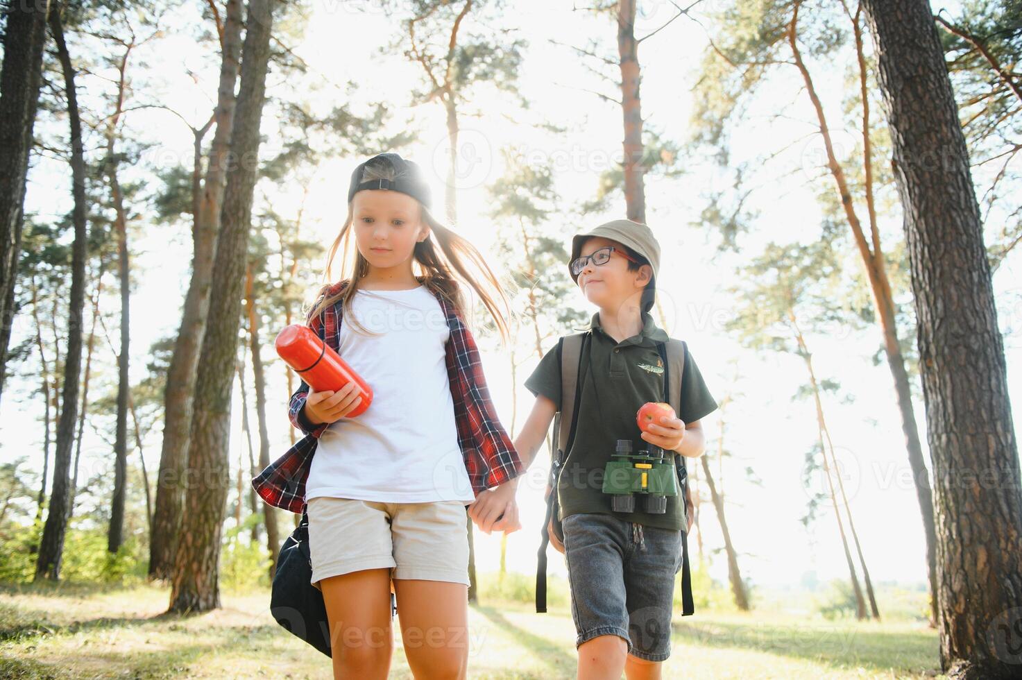 boy and girl go hiking with backpacks on forest road bright sunny day photo