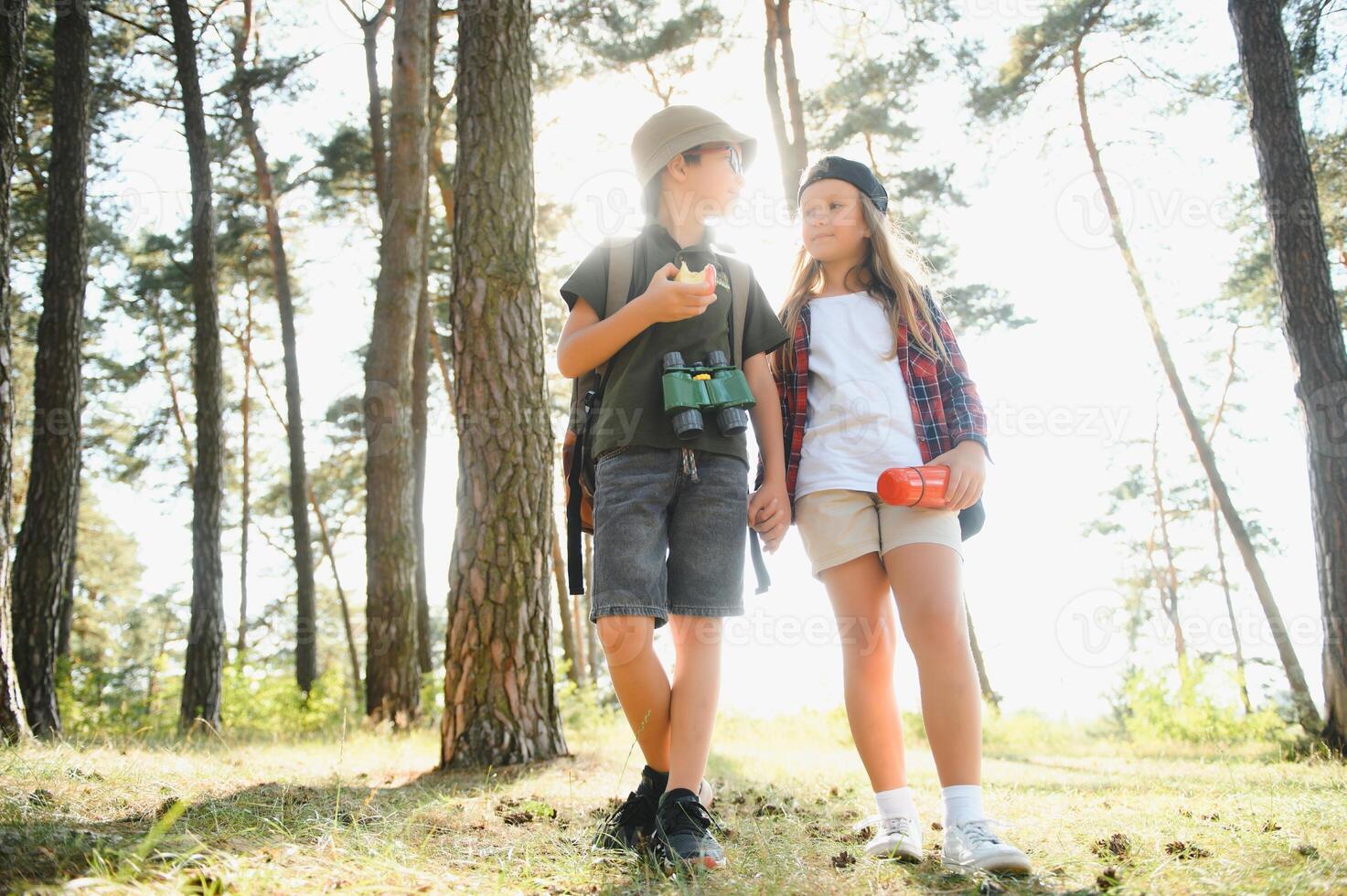 Happy excited school children with backpacks in casual clothes enjoying walk in forest on sunny autumn day, two active kids boy and girl running and playing together during camping trip in nature. photo