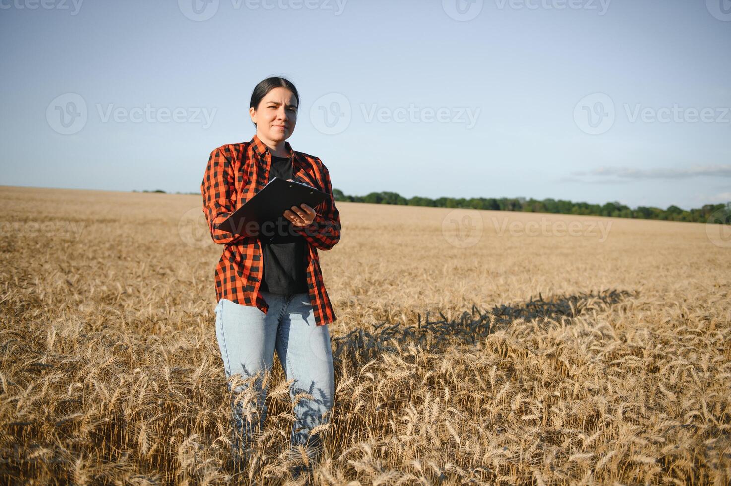 Woman farmer agronomist working in grain field and planning income of harvest. Female examining and checking quality control of produce wheat crop. Agriculture management and agribusiness photo