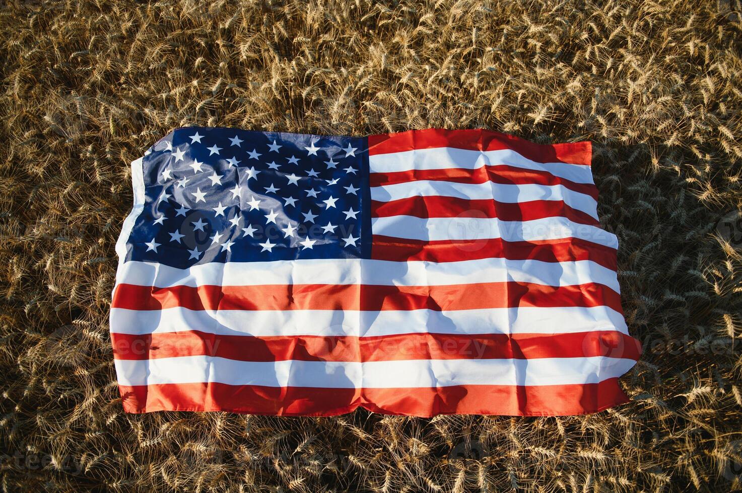 USA American flag spreaded on the golden wheat field. photo