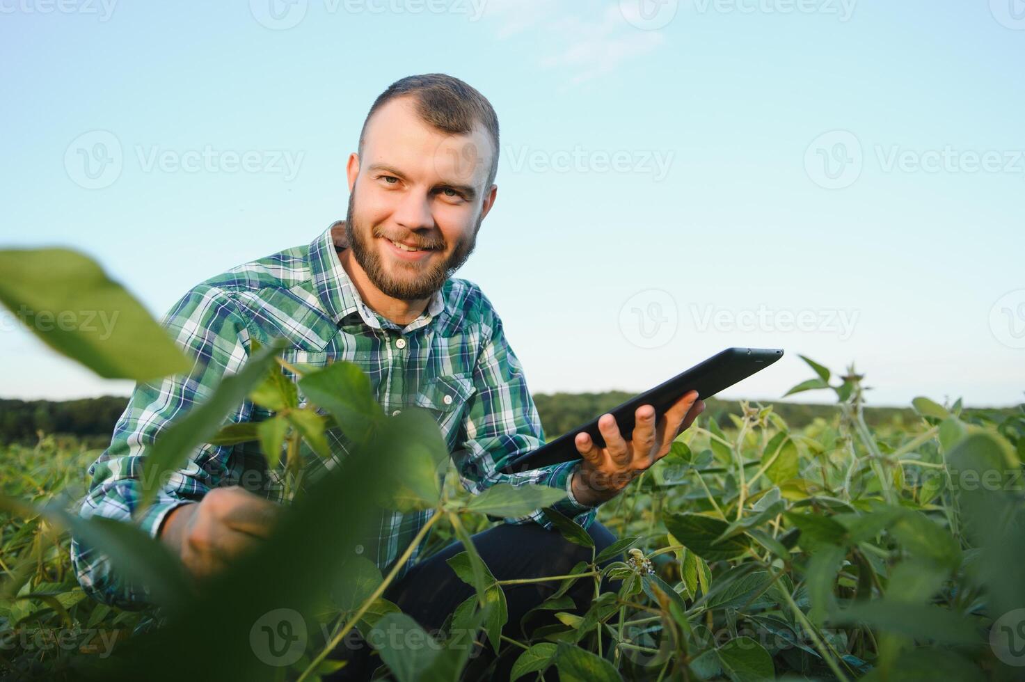 Young agronomist holds tablet touch pad computer in the soy field and examining crops before harvesting. Agribusiness concept. agricultural engineer standing in a soy field with a tablet in summer. photo