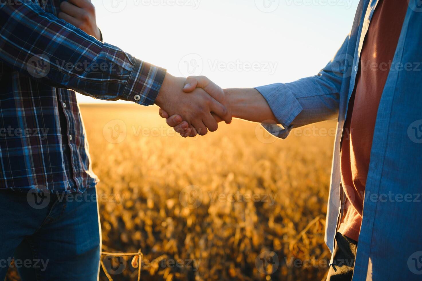 Two farmers shaking hands in soybean field. photo