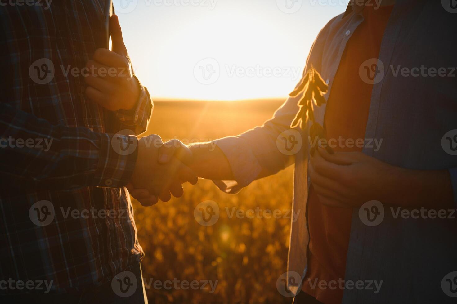 Two farmers shaking hands in soybean field. photo
