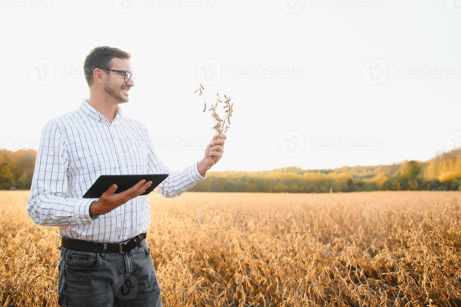 agronomist or farmer examining crop of soybeans field photo